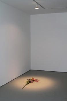 http://www.galeria-sabot.ro/files/gimgs/th-9_IMG_3634.jpg